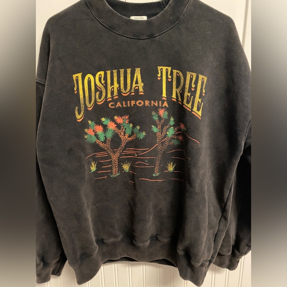 Abercrombie and Fitch “Joshua Tree” oversized sweatshirt